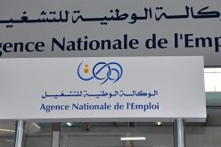 وكالة التشغيل تصدر بيانا هاما لطالبي العمل