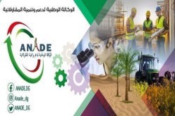 أناد تدرس توفير مخطط أعباء لفائدة المؤسسات المصغرة