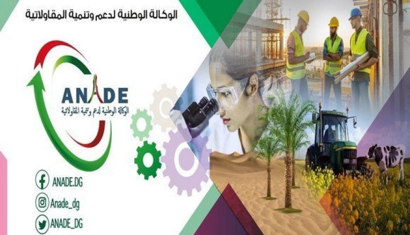 أناد تدرس توفير مخطط أعباء لفائدة المؤسسات المصغرة