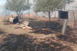 بالصور.. نشوب حريق بقريتي بن زريق وأولاد عبد النبي في الحدود بين سطيف وبجاية