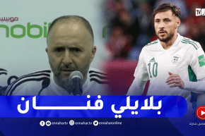 بلماضي: كل من يحب كرة القدم يريد مشاهدة بلايلي وعليه مواصلة العمل لدخول تاريخ الخضر