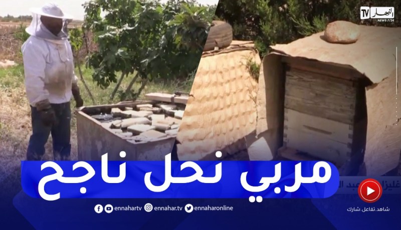 غليزان: بوعبد الله زروالي.. مربي نحل ناجح يطمح لتوسيع نشاطه مستقبلا