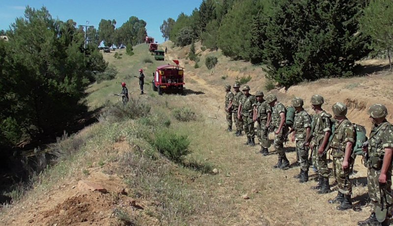 تنفيذ تمارين مكافحة حريق غابة محاذي لتجمع سكني بمستغانم ومعسكر وتلمسان