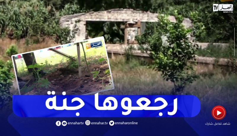 قصة ثلاث شقيقات امتهن الفلاحة ..فحولن إرثهن من خرابة إلى جنة