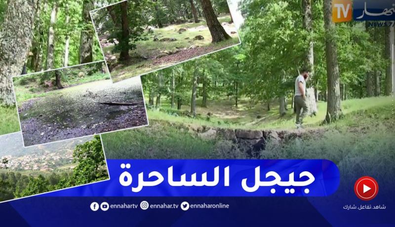 جيجل: غابة بوعفرون أو مملكة طائر الجوز الجزائري .. لوحة فنية طبيعية ساحرة