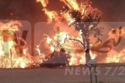 الحماية المدنية بسطيف وجها لوجه مع 76 حريق للغابات والمحيطات الفلاحية
