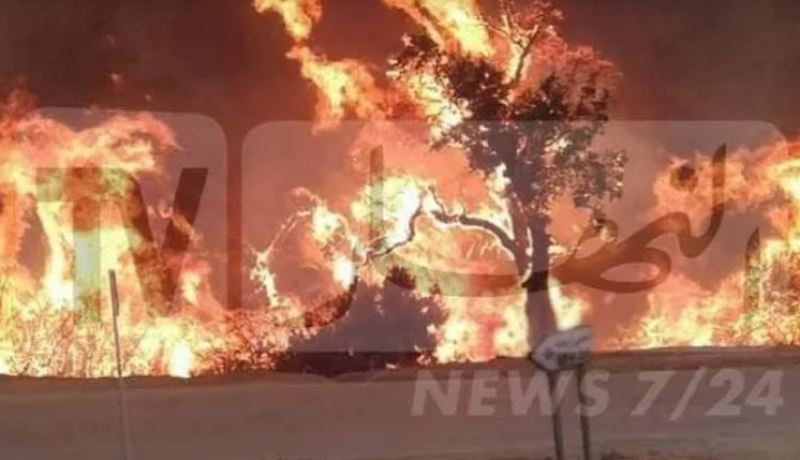 الحماية المدنية بسطيف وجها لوجه مع 76 حريق للغابات والمحيطات الفلاحية