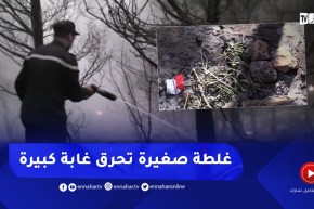 حـ.ـرائق الغابات..السجائر وفحم الشواء أبرز المسببات