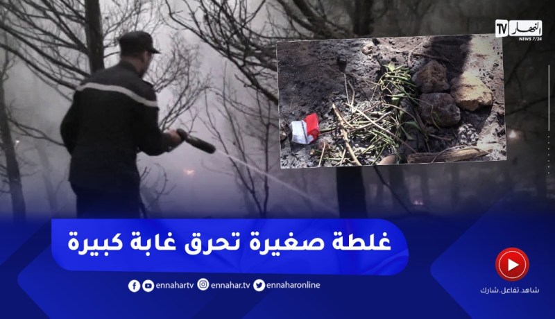 حـ.ـرائق الغابات..السجائر وفحم الشواء أبرز المسببات