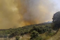 وفاة شخصين منهم قائد ثكنة و 12 جريحا بعد حرائق في غابات سطيف