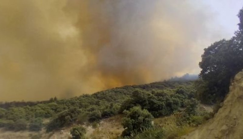 وفاة شخصين منهم قائد ثكنة و 12 جريحا بعد حرائق في غابات سطيف