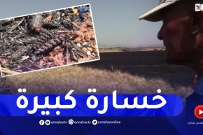 قالمة: النيران تتلف قناطير كبيرة من القمح بإقليم بلدية بومهرة أحمد