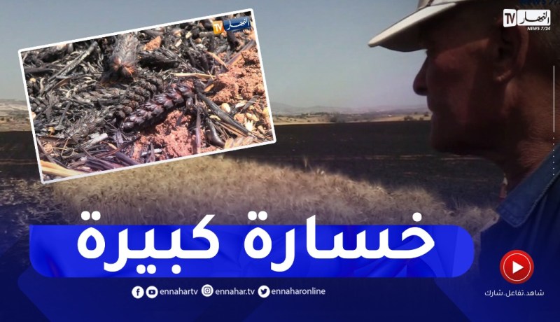 قالمة: النيران تتلف قناطير كبيرة من القمح بإقليم بلدية بومهرة أحمد