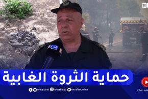 سلوكيات سلبية للمواطنين في الغابات.. وعقـ.وبات صارمة ضد المساس بالثروة الغابية