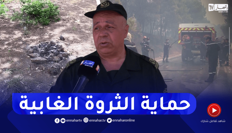 سلوكيات سلبية للمواطنين في الغابات.. وعقـ.وبات صارمة ضد المساس بالثروة الغابية