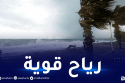 رياح قوية على السواحل الغربية