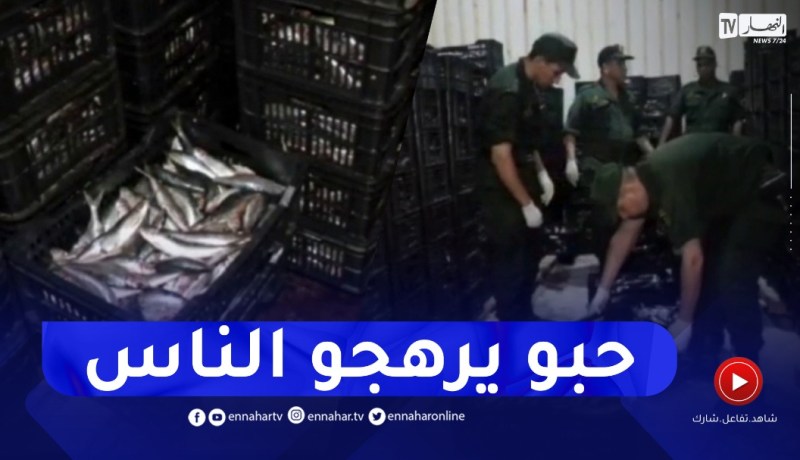 كارثة.. تخزين 20 طن سردين فاسدة بمستودع لتصبيرها بوهران