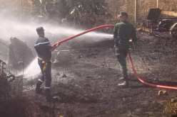 سكيكدة: وفاة شخص في اندلاع حريق غابة ببلدية بني بشير