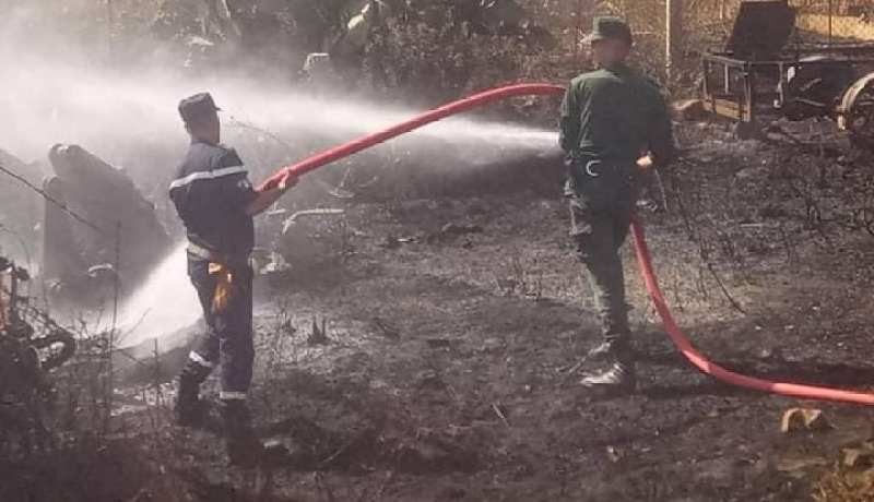 سكيكدة: وفاة شخص في اندلاع حريق غابة ببلدية بني بشير