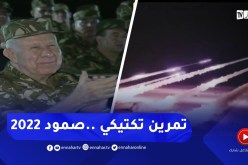 الفريق شنقريحة يشرف على تنفيذ تمرين تكتيكي ليلي بالذخيرة الحية في تندوف