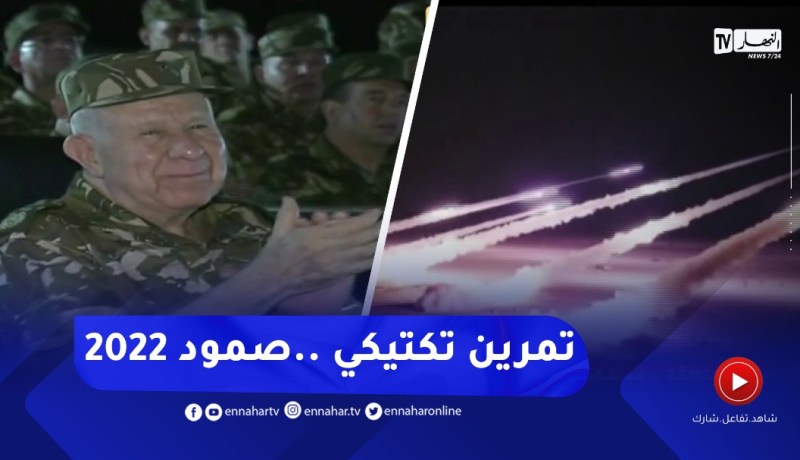 الفريق شنقريحة يشرف على تنفيذ تمرين تكتيكي ليلي بالذخيرة الحية في تندوف
