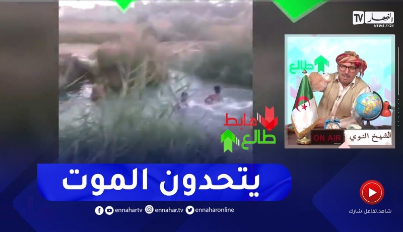 طالع هابط: الشيخ النوي..   شاهد اطفال يسبحون في برك مائية ويتحدون المـ ـوت