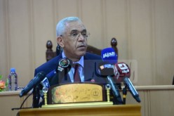 وزير العدل.. القضاء الإداري يتطلب تحقيق التوازن بين مؤهلات السلطة