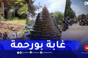 مستغانم: غابة بورحمة.. فضاء يجمع ثنائية الفسحة والإستجمام في أحضان الطبيعة