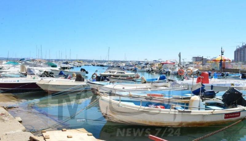 الصيد البحري.. رفع حطام 180 سفينة عبر التراب الوطني