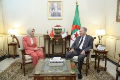 قوجيل: الجزائر تولي أهمية خاصة لتطوير علاقاتها مع تركيا