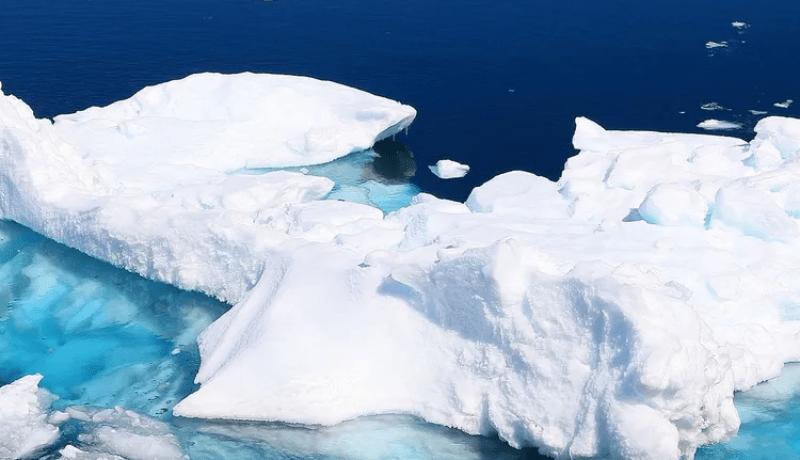 “بكتيريا خارقة”.. كائنات في أقصى العالم تنذر بجائحة جديدة