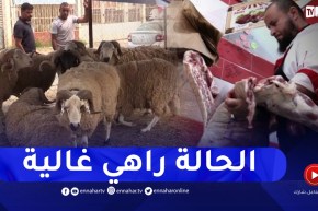 بعد إرتفاع أسعار الأضاحي..محلات الجزارة تعج بطلبات المواطنين على اللحوم