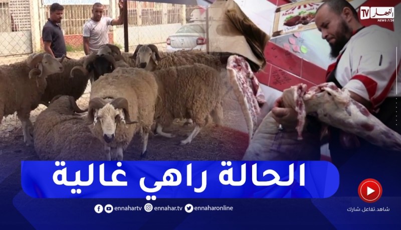 بعد إرتفاع أسعار الأضاحي..محلات الجزارة تعج بطلبات المواطنين على اللحوم