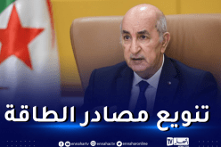 الرئيس تبون يأمر بالتوجه وفق برنامج مدروس لإنتاج الهيدروجين الأخضر والطاقة الشمسية