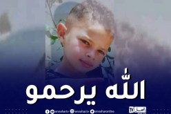 كلاب متشردة تنهش جسد طفل حتى الموت بالبليدة