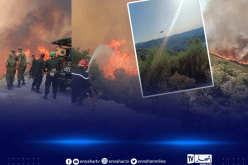 شبح الحرائق يعود مجددا واخماد عدة غابات بولاية سكيكدة