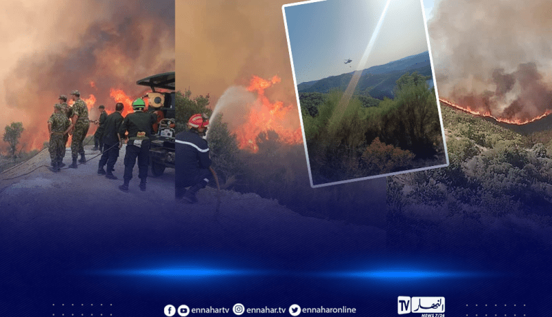 شبح الحرائق يعود مجددا واخماد عدة غابات بولاية سكيكدة