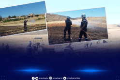 الشلف: إخماد 9 حرائق إندلعت في أحراش وحقول زراعية