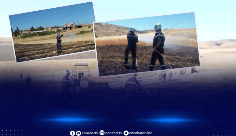 الشلف: إخماد 9 حرائق إندلعت في أحراش وحقول زراعية