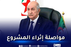 الرئيس تبون يأمر بالتحرير الكلّي لمسار المشاريع الاستثمارية من المنظومة البيروقراطية