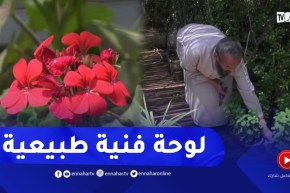 سعيدة: محل عمي بن سكران..قبلة لمحبي الطبيعة والنباتات