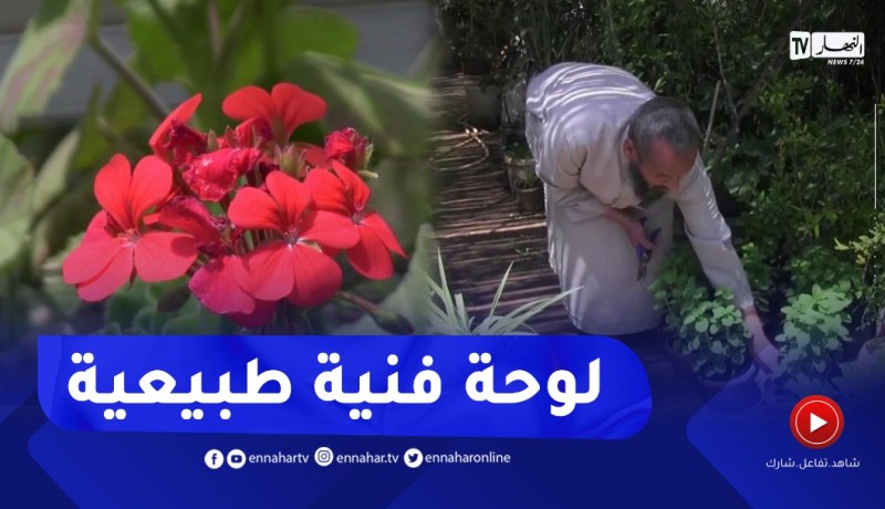 سعيدة: محل عمي بن سكران..قبلة لمحبي الطبيعة والنباتات