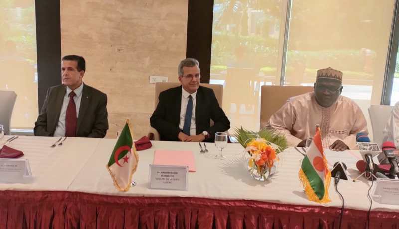 تعزيز التعاون والشراكة بين الجزائر والنيجر في المجال الصحي