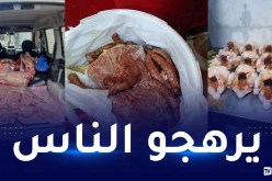 وهران: حجز 310 كلغ من اللحوم الفاسدة