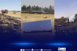 الأغواط..اخماد حريق بمساحة 2 هكتار بمنطقة الرقص