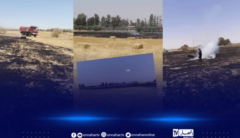 الأغواط..اخماد حريق بمساحة 2 هكتار بمنطقة الرقص