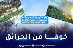 ولاية تيبازة تمنع التخييم والتجوال في الغابات بإستثناء هذه الفئة