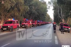 حريق تونس.. الحماية المدنية الجزائرية تباشر مهامها