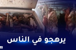 الوادي.. صور صادمة لمذبح غير شرعي وشحوم حيوانية موجهة لصناعة مواد التجميل