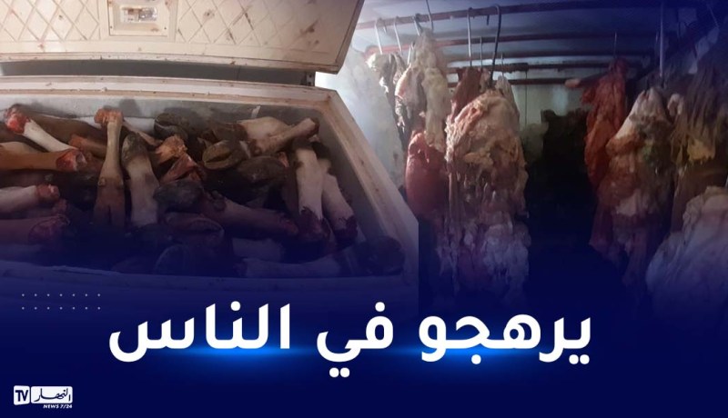 الوادي.. صور صادمة لمذبح غير شرعي وشحوم حيوانية موجهة لصناعة مواد التجميل